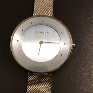 Timeless Skagen watch